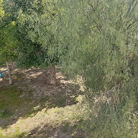 Eat Well Sleep Well Casa de hóspedes *